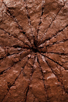 cut brownie