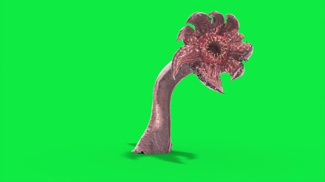 Green Screen Sunflower Tentacle Monster Walkcycle Side 3D Animation Rendering CGI 4K Horror