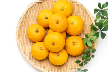 甘くて美味しい和歌山県産早生みかん