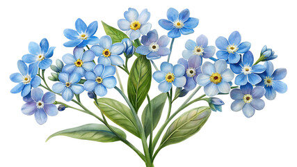 Watercolor illustration of forgetmenot flowers in a vibrant blue hue, isolated on transparent background