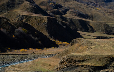 mountain road in death valley