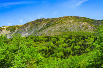 小田越付近から望む早池峰山
