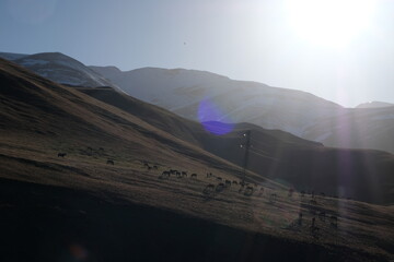 sunrise in the mountains