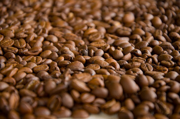 Rich Roasted Coffee Beans Texture Background