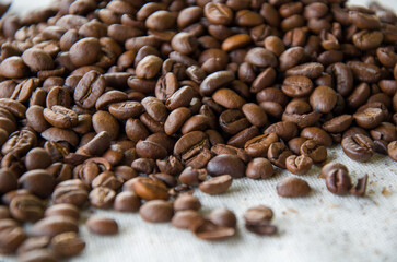 A close-up shot of a large pile of freshly roasted brown coffee beans on a textured white fabric.