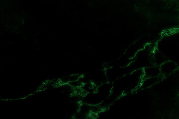 Black marble green pattern luxury texture for do ceramic kitchen light white tile background stone wall granite floor natural seamless style vintage for interior decoration and outside.

