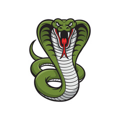 Vector illustration of an angry cobra on a white background