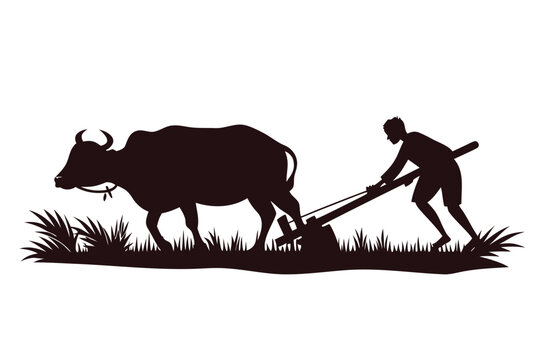South Asian man diligently plows the field using an ox in silhouette against white