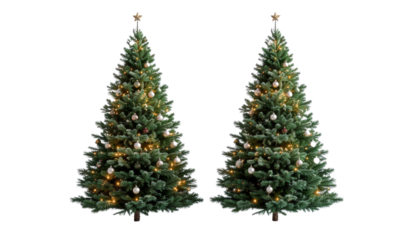 Two Beautiful Christmas Tree Isolated on White Transparent Background PNG 