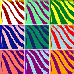 Fototapeta premium Zebra pattern Collage with a variety of colours and contrast