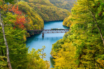 Fototapeta premium 紅葉の萌える山々と只見川第三橋梁を渡る機関車