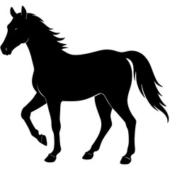Silhouette of a horse in black color on transparent background