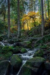 Vibrant mossy autumn woodland and cascading water at Wyming Brook in the Derbyshire, Peak District National Park.