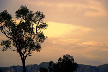 Majestic Clouds and Silhouetted Trees Against a Blue Sky.  Dramatic Sky with Warmly Lit Clouds and Tree Silhouettes.