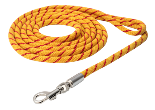 Bright orange and red braided rope dog leash with metal clasp isolated on transparent background