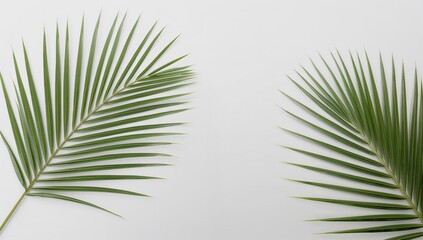 Obraz premium Empty display for cosmetic items featuring palm leaves, suitable for product promotion