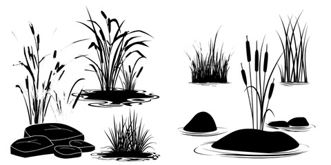 Modern illustration of a forest swamp, marsh, or pond, highlighting wetland grass, moss stone, and green water plant leaves, all isolated on a white background with a lawn and tall rush on a landmass