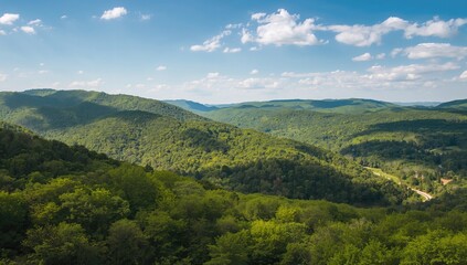 Obraz premium Aerial view of thick green forest blanketing mountainous terrain on a sunny summer afternoon
