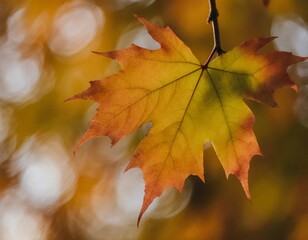 Colorful maple leaves in shades of orange and yellow sway gently on a branch. The background features a soft blur, creating a dreamy fall scene Generative AI