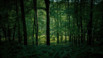 Obraz premium Dense green forest backdrop, showcasing a natural setting, erosion risk