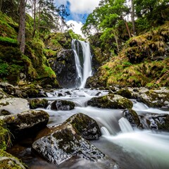 Fototapeta premium Scenic waterfall cascades through rocks in a lush, green forest