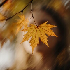 Vibrant autumn maple leaves hang from a branch, showcasing rich shades of orange and yellow while softly blurring in the background, evoking a serene fall atmosphere Generative AI