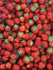 Fresh garden strawberries scattered on a wooden table