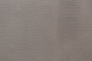 Obraz premium Detailed view of synthetic leather surface from above