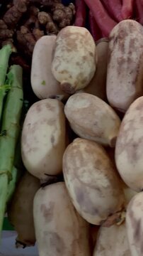 Fresh Asparagus Lettuce, Zucchini, Cucumber and Lotus Root Displayed at a Vegetable Market
