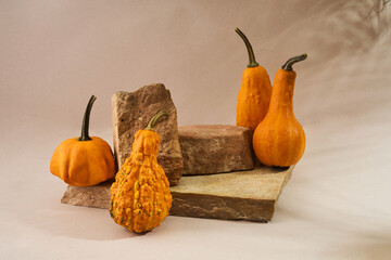 Autumn empty podium with decorative pumpkins