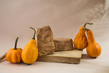 Autumn empty podium with decorative pumpkins