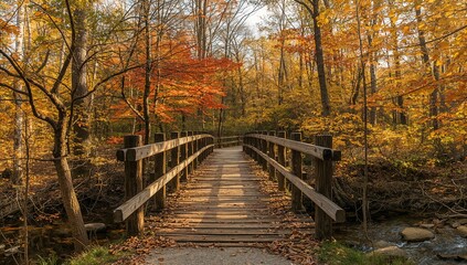 Autumnal woodland pathway with a wooden bridge and railings