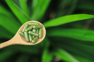 Herbal capsules from green pandan leaf herbal on hand for healthy eating in daily life