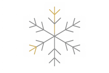 Snowflake icon vector on transparent background representing nature, winter, and frosty weather