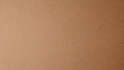 Empty Cork Board Texture Suitable