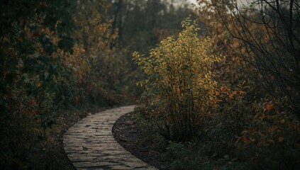 Solitary green foliage in a natural setting during fall