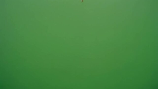 A large passenger airplane flies overhead against a green screen for chroma key compositing.