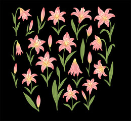 Elegant Pink Lily Floral Elements Set
