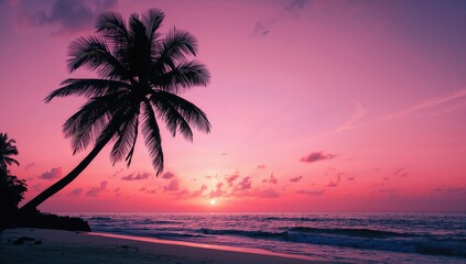 Outline of a palm tree against a vibrant pink sky at dusk on a tropical shore