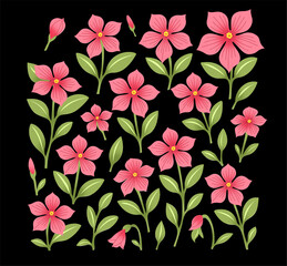 Vibrant Pink Periwinkle Flowers and Green Leaves Collection