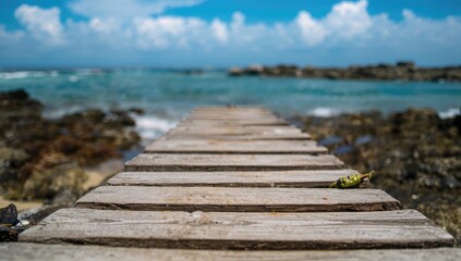 Fototapeta premium Blurred sea rocks and water with a wooden surface, suitable for a serene beach backdrop, Summer