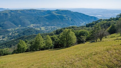 Naklejka premium Summer mountain scene with trees on a grassy hillside.