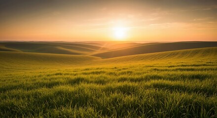 Obraz premium Rolling green hills at sunset or sunrise. Scenic agricultural landscape with warm golden light. Summer countryside field background