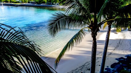 A serene view of a tropical beach with crystalclear water, palm trees, and white sand on a sunny day in the caribbean