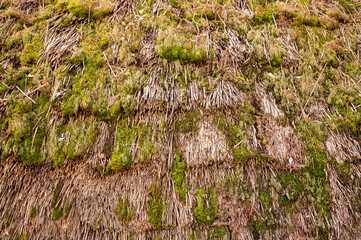 苔の生えた茅葺き屋根　クローズアップ素材