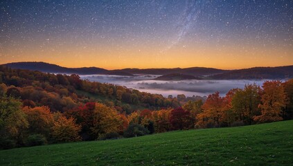 Fototapeta premium Vibrant autumn morning shrouded in fog, ideal for outdoor reflection