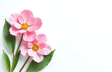 Obraz premium delicate pink flower arrangement crisp white background surrounded fresh greenery subtle watercolor texture set