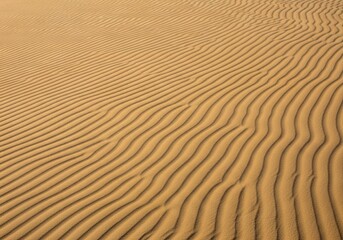 Fototapeta premium Golden sand dune texture with wavy ripples and diagonal lines for an abstract nature background