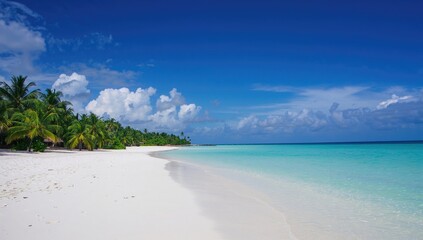 A pristine white sand shore bordered by sparkling clear waters, under a bright blue sky and radiant sunshine, forms an ideal summer getaway spot in a tropical paradise