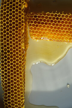 Honey comb